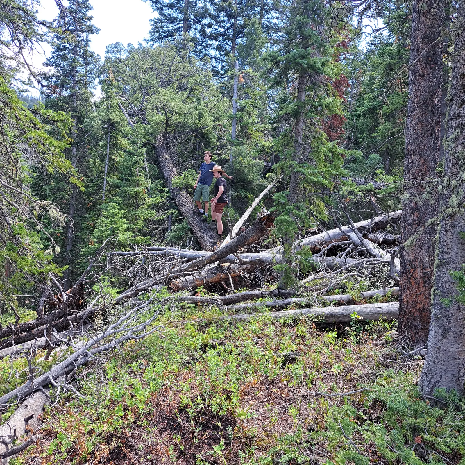 Along the trail detour